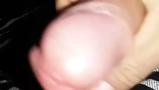 19 Şubat