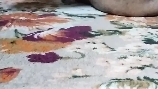 Pakistanisches schönes mädchen