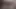 Aldatılan hayranlar için - karımın hamilelik kılığında başka bir adamın dölü için yalvarırken izliyorum - bölüm 5