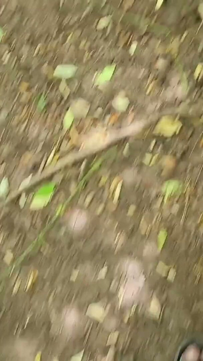 Fucking ass in doggy style in jungle | Clip 1