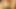 彼女はドギーが大好き
