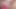 Big Lips Bimbo Brat Sucking Cock