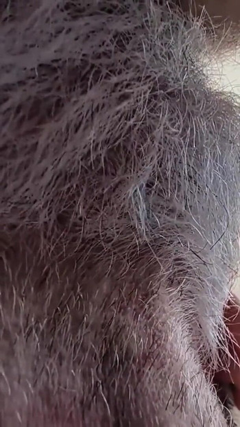 Epic moment from "Two Hairy Daddys in bed afterwork - Seattle gets bred"