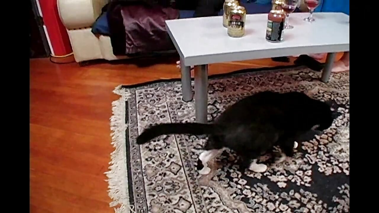 Stvarno napaljena scena