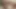 Horny couple shows in front of the camera how they fuck hard and deep after violent blowjob