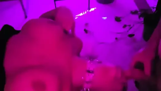 Pretty Party Smokey Kitty