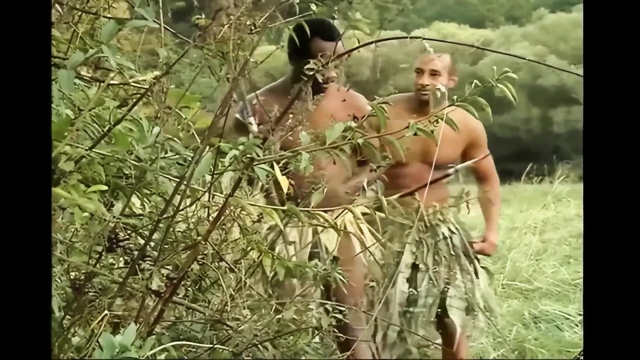 In the White Undergrowth