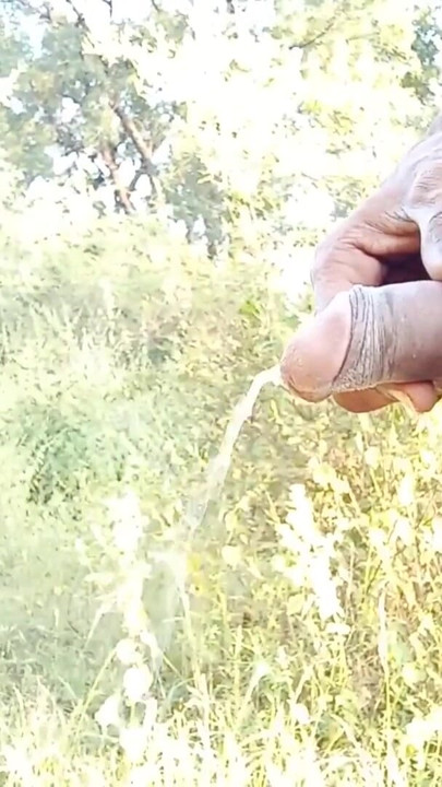 Outdoor Pissing in the middle of the jungle. Hot handsome face with beard boy Rajeshplayboy993 new public pissing video | Clip 1