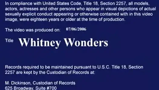 Whitney Wonders dövmeleriyle yatak odasında sikişiyor