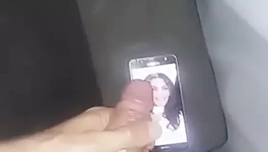 fadik tribut