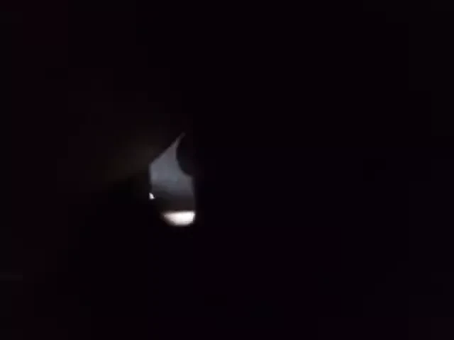udata zena krese se iz zadovoljstva (zemun)