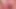 Analdildo