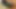Büyük titted Alman sürtük binicilik ona kalın siyah yapay penis ile ona tıraş beceriksizlik