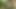 Hunt4k. avcı kamu ortasında busty bayan sikikleri