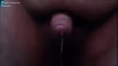 Anteprima video
