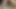 Bareback hairy  Guatemalan pussy creampie