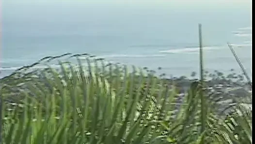 Island Fever 02 Scene 2