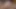 Dik Rus milf istiyor için binmek bir Rus aygır