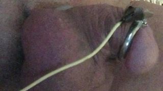 My little cock half hard with electro(no cum)