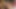 Capri, patronu tarafından sekse yol açan seksi bir çağrıya yakalandı