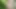 Walking naked outdoor Part 3 Indian guy in the forest, cock