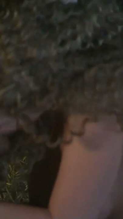 Cowboy and his whore | Clip 3