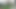 I Recorded My Stepsister Sunbathing Naked and Masturbating in the Garden