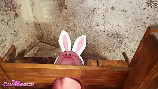 A Terror Bunny Rarely Comes Alone.