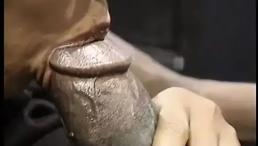 Une nana noire mal rasée se fait baiser dans son trou poilu