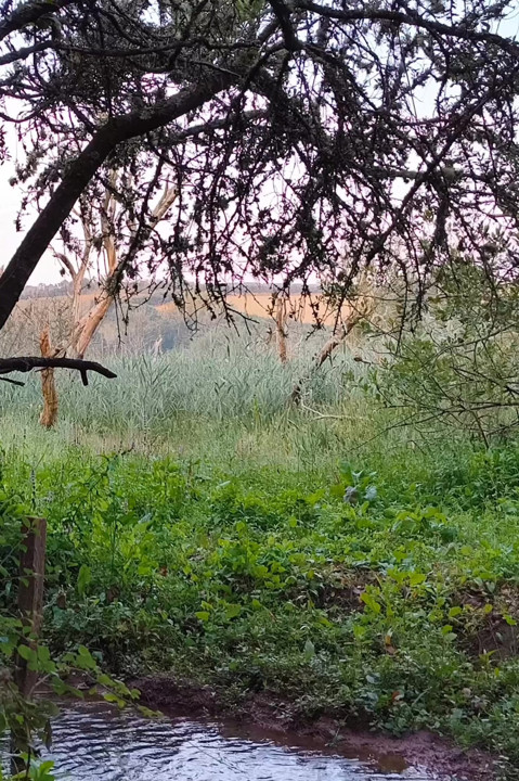 Wytrysk nad rzeką