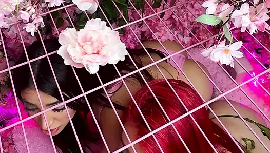Pink room ep.33: geile latina-schlampen zoey und jessica lieben schwanz