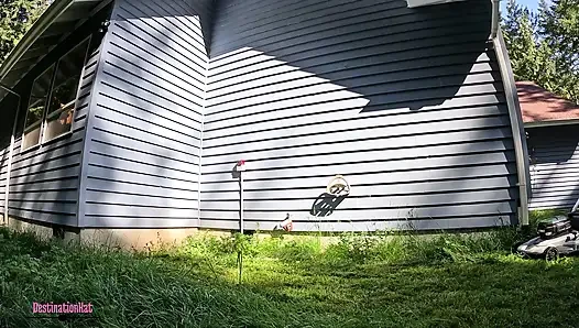 Den hof reparieren