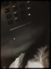 A BJ  then fucked sub on elevator