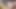 バスルームで指で自分を愛撫し、毛深い膣を拳で突いてしまいました