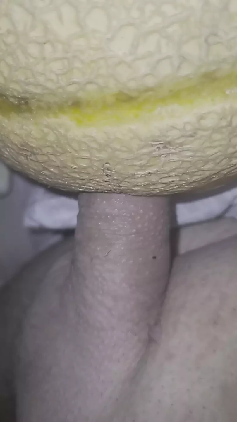 玩甜瓜 2