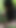 🌳Whore's FanTasme. Exhibit in the Forest of Brunoy [³June²⁵] CuMSLuT in search of Sperm Offerings. VaneSsaBiTCHx C⁴