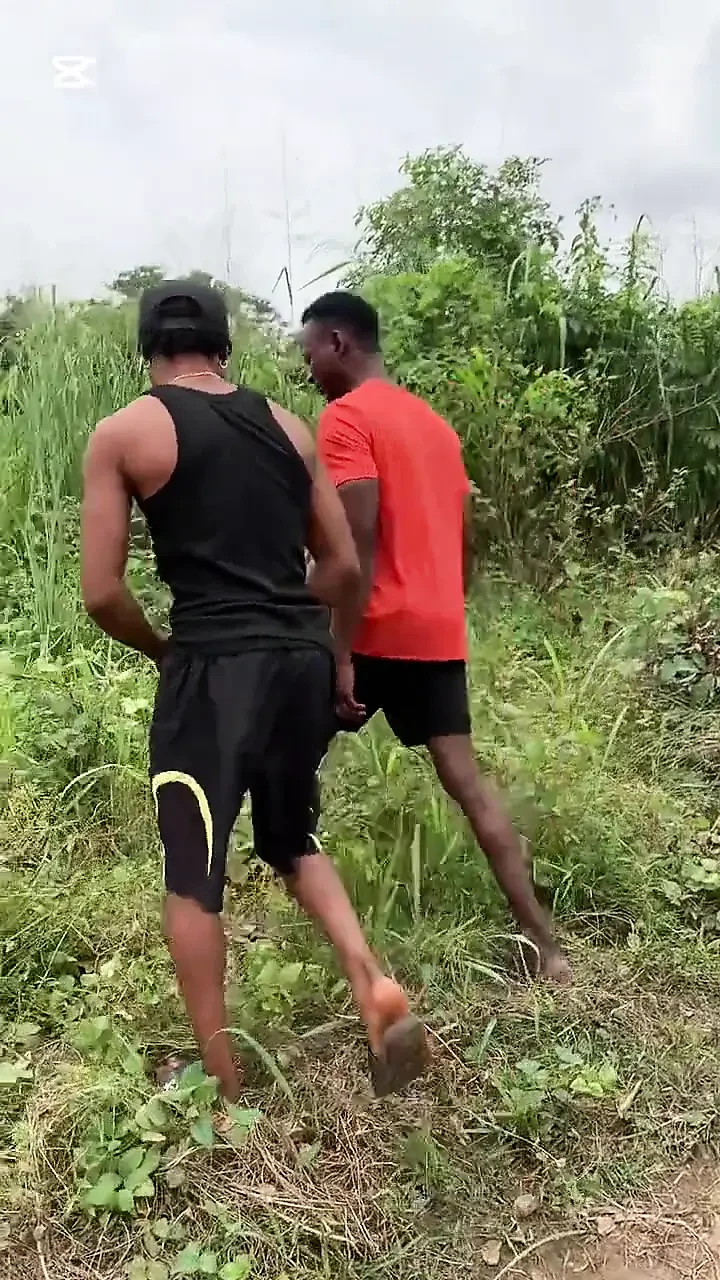 Ebony Dick Sucking