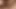 Threesome with hard blowjob and ass fuck followed by horny cumshot
