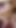 Spectacular moment from "Sri Lankan horny woman having passionate sex with her boyfriend with her breasts glistening and"