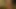 Nude Celebrities in the Jungle