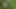 Young wife undresses and walks naked in a forest park