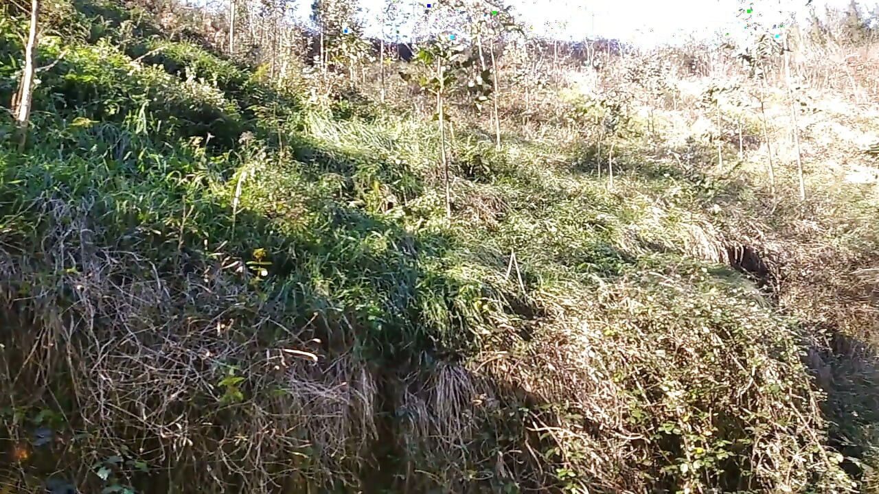 Velho com uma Rola Enorme Saiu para Caminhar e Gozou