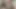 Selbstgedrehtes Paar Video, großer Schwanz Blowjob, Fick und Abspritzen, großer weißer Schwanz