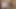 Hintli üniversiteli kız ve erkek arkadaş otel videosunda sert seks yapıyor