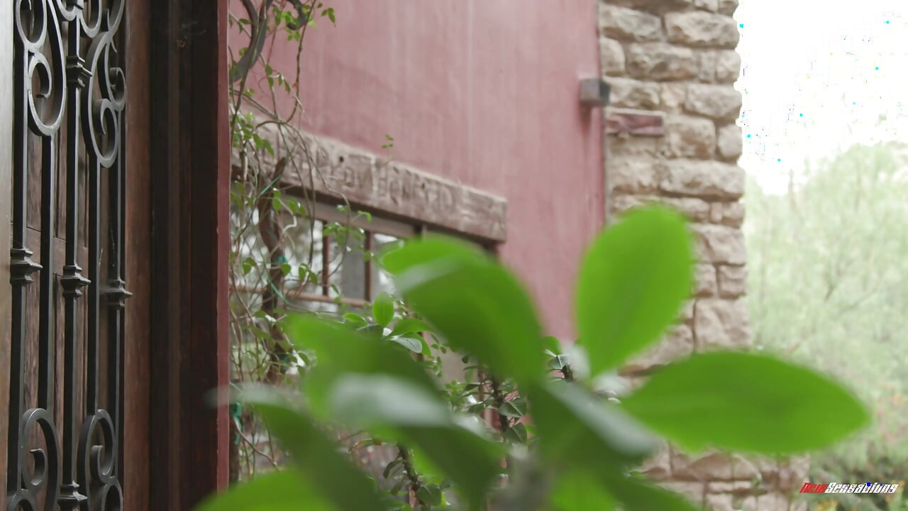 Das heißeste milf cory chase geschenk kommt überall hin