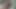الملاك الآسيوي 24923