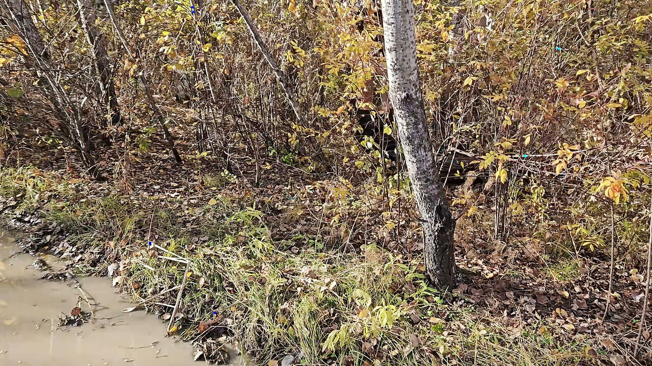 I pulled down my pants and went for a walk along the autumn road