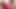 Ebony vibrator orgasm contractions at 4.41