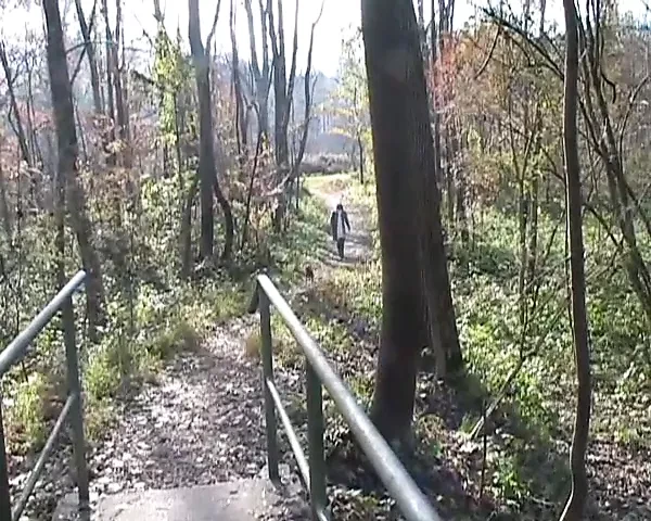 Ex pees from a Bridge