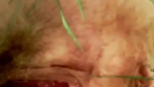 Сетня Ливадом